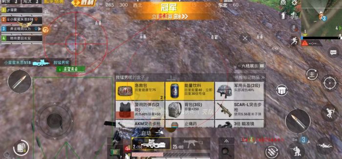 和平精英什么枪是辅助（和平精英什么枪是副武器）